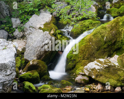 Cascade de la soca fermer la source, parc national du Triglav, Alpes Juliennes, en Slovénie Banque D'Images