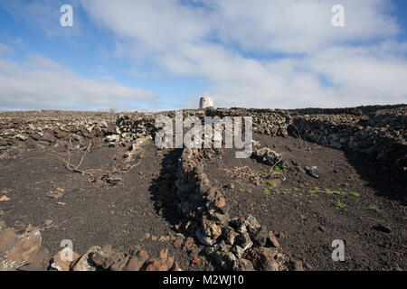 Yé, Harí-a, Lanzarote/Espagne : dans un domaine typique en pierre de lave noire avec des murs protégeant la vigne contre le vent Banque D'Images