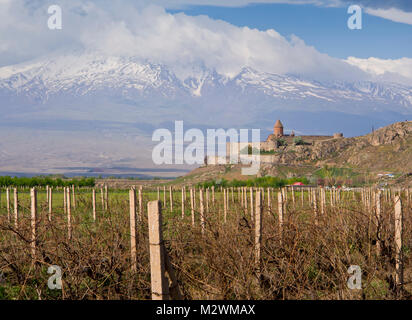 Le monastère de Khor Virap en Arménie et de vignobles, Ararat, montagne derrière, une destination touristique populaire et pittoresque à la frontière turque Banque D'Images