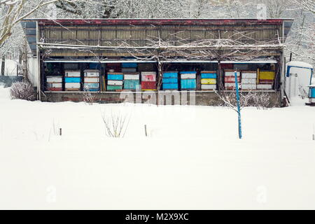 Les ruches en bois coloré vintage on snowy le gel hivernal jour Banque D'Images