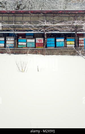 Les ruches en bois coloré vintage on snowy le gel hivernal jour Banque D'Images