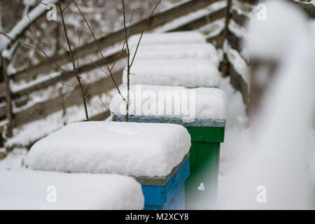 Une paire de ruches couvertes de neige. Le rucher en hiver. Ruches couvertes de neige en hiver. L'apiculture Banque D'Images