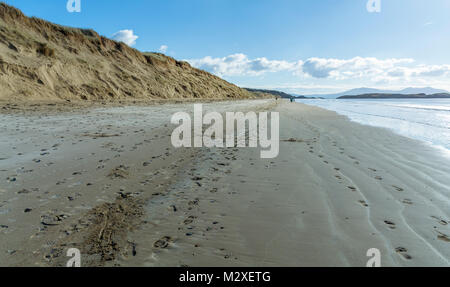 Dunes de sable sur l'érosion sur la plage Newborough Anglesey. Banque D'Images