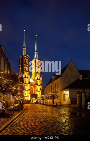 Cathédrale de Saint Jean Baptiste. L'île de la cathédrale (Ostrów Tumski Wroclaw, Pologne). Banque D'Images