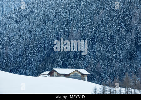 Une grange avec une forêt d'arbres couverts de neige sur sur le flanc de la montagne derrière Banque D'Images