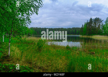 Paysage de lacs et de forêt le long de la crête de Punkaharju. Côte de la région de Lakeland, Savonia, Finlande Banque D'Images