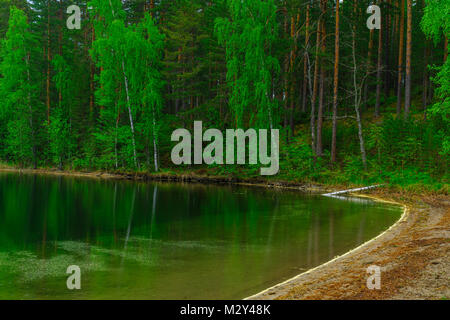 Paysage de lacs et de forêt le long de la crête de Punkaharju. Côte de la région de Lakeland, Savonia, Finlande Banque D'Images