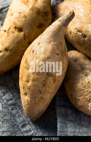 Hawaiian biologiques crus prêt à cuire les patates douces Banque D'Images