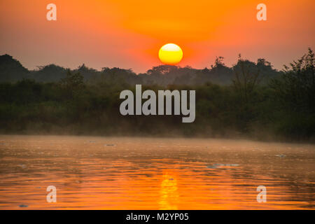 Lever de Soleil sur le Nil dans le parc national de Murchison Falls, l'Ouganda, l'Afrique Banque D'Images