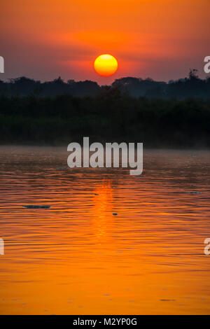 Lever de Soleil sur le Nil dans le parc national de Murchison Falls, l'Ouganda, l'Afrique Banque D'Images