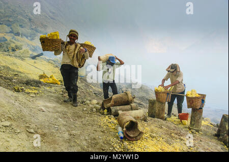 Les travailleurs de la mine de soufre du volcan Ijen, Java, Indonésie Banque D'Images