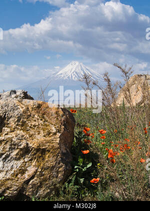 Champ de coquelicots et les pentes dans la campagne arménienne près de la frontière turque par le monastère de Khor Virap,petite montagne Ararat en arrière-plan Banque D'Images