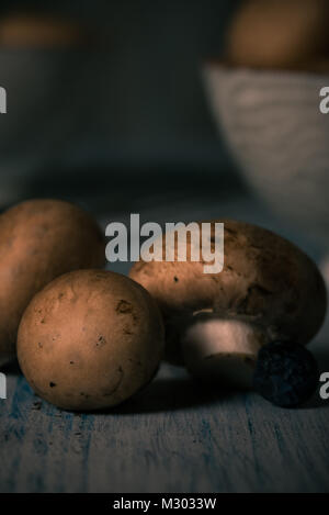 Photo verticale avec plusieurs brown de champignons comestibles. Champignons crus est renversé sur blue vintage wooden board avec blackthorns et placés dans deux cerami Banque D'Images