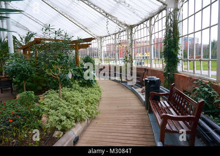 L'intérieur du jardin d'hiver dans la région de Glasgow Green Park, Royaume-Uni Banque D'Images