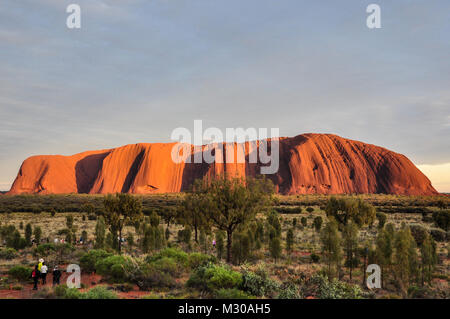 Belle vue sur Uluru, Ayers rock, avant le lever du soleil au Parc National d'Uluru-Kata Tjuta, Territoire du Nord, Australie Banque D'Images