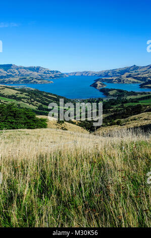 De beaux paysages autour de Akaroa Harbour, la péninsule de Banks, île du Sud, Nouvelle-Zélande Banque D'Images