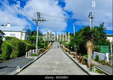 Baldwin Street La rue résidentielle la plus raide du monde, Dunedin, île du Sud, Nouvelle-Zélande Banque D'Images