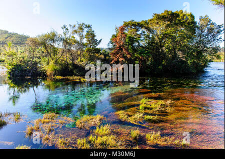 Te Waikoropupu springs déclaré comme sources d'eau douce la plus claire dans le monde, Takaka, Golden Bay, île du Sud, Nouvelle-Zélande Banque D'Images