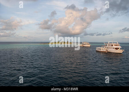 Les navires blancs pour les touristes, les plongeurs engagés dans la plongée profonde, l'Océan Indien, les Maldives. Banque D'Images