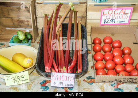 Pennsylvania,PA,Northeastern,Willow Street,ferme,stand de production de bord de route,agriculture,légumes,courgettes,rhubarbe,tomates,tomates,signe écrit à la main,pri Banque D'Images