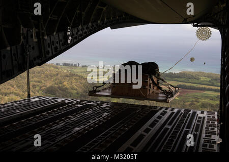 U.S. Air Force 535e Escadron de transport aérien C-17 Gloabmaster III parachutages une palette sur une zone de dépôt sur 1 Hawaïen Le août 535e offre des capacités de transport aérien et airdrop pour le théâtre du Pacifique. Le largage de matériel fait partie de la formation de routine de l'équipage et le personnel de la logistique.(U.S. Photo de l'Armée de l'air par le sergent. Stephany Richards/ publié) C-17 Globemaster III airdrop une palette sur une zone de chute par # PACOM Banque D'Images