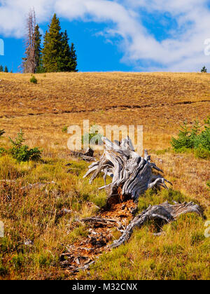 Medicine Bow Peak Trail, lac Marie, Snowy Range Scenic Byway, Centennial, Wyoming, USA Banque D'Images