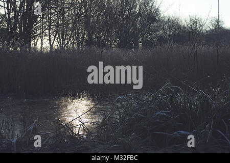 Lever du soleil sur le lac de Westport en hiver.Très beau paysage de moody.Staffordshire Stoke on Trent, Angleterre.Nature UK.lac gelé le lever du soleil. Banque D'Images