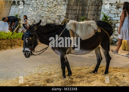 L'Espagne. Murcia. Los Alcazares. 23 août 2017. Fiesta de la campagne et la mer. sur mes dernières vacances. Banque D'Images