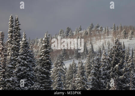 Tempête d'hiver, Grand Targhee Resort, Wyoning Banque D'Images