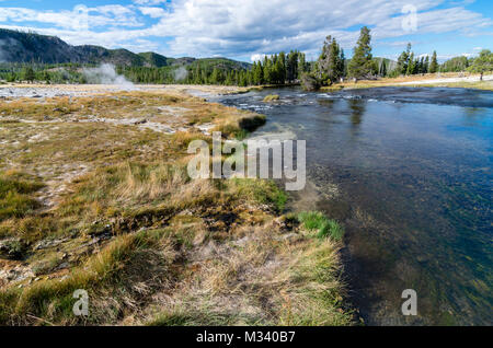 L'eau des sources chaudes à proximité se jette dans la rivière Firehole. Le Parc National de Yellowstone, Wyoming, USA Banque D'Images