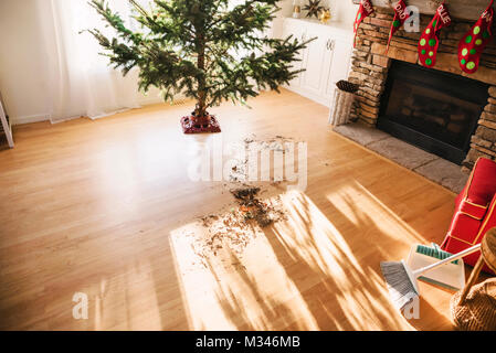 Les aiguilles de pin sur le plancher du salon après la mise en place d'un arbre de Noël Banque D'Images