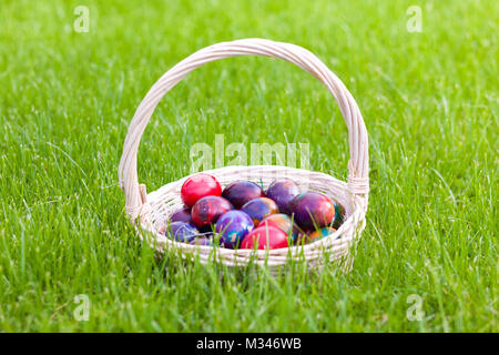 Les oeufs de Pâques teints dans un panier Banque D'Images