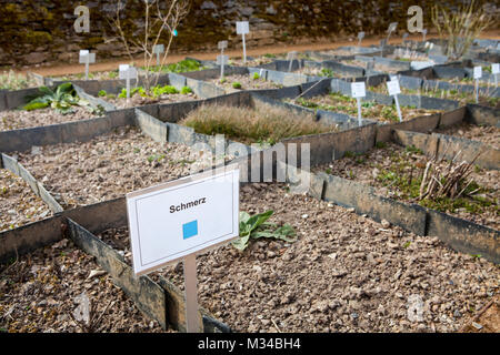 Les plantes médicinales contre la douleur, monastère cistercien de l'abbaye de Marienstatt, Streithausen, Rhénanie-Palatinat, Allemagne, Europe Banque D'Images