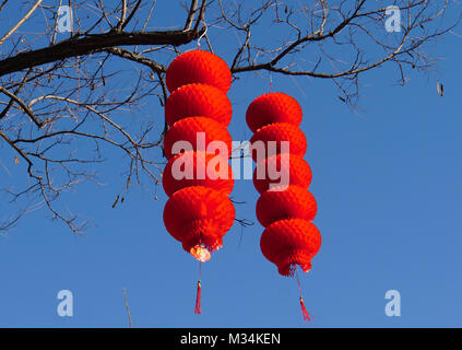 Beijing, Beijing, Chine. Feb 8, 2018. Beijing, Chine 8 février 2018 : Le lac Longtan Park est décoré pour la foire du temple qui se tiendra lors du Festival du printemps. Crédit : SIPA Asie/ZUMA/Alamy Fil Live News Banque D'Images