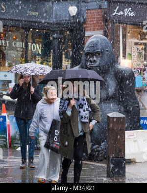 Une douche de neige Shoppers bataille vu par un gorille en fibre de verre grandeur nature sur Wyle Cop, Shrewsbury, lors d'un festival célébrant la ville dans ses liens avec Charles Darwin. Banque D'Images