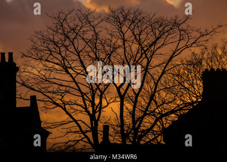 Londres, Royaume-Uni. Feb 9, 2018. Météo France : Le soleil se couche sur le marché du logement à Londres ? Ici sur la terrasse maisons de 'Nappy Valley' Battersea. Crédit : Guy Bell/Alamy Live News Banque D'Images