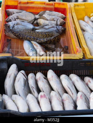 Jaune, orange et noir des bacs en plastique avec prise du jour poisson vendu au marché aux poissons sur le Vieux Port nouveau ou Vieux Port, Marseille France. Banque D'Images