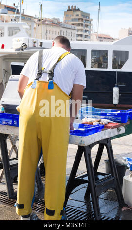 L'arrière d'un pêcheur dans une salopette imperméable jaune poisson organiser sur une table portable dans un marché à Marseille France. Un bateau est en arrière-plan. Banque D'Images