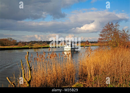 Une croisière en bateau sur la rivière Yare sur les Norfolk Broads en hiver à Surlingham, Norfolk, Angleterre, Royaume-Uni, Europe. Banque D'Images