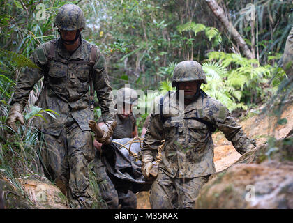 160112-N-GJ415-159 Okinawa, Japon (Janv. 12, 2016) de la construction navale Seabees Mobile Bataillon (NMCB) 3 effectuer une victime simulée sur une civière improvisée à travers la jungle lors de l'exécution d'un six heures de cours à la Marine Corps la guerre de jungle Training Centre (ETFC). Un total de 49 NMCB-3 Seabees ont assisté à la période de cinq jours. cours ETFC (U.S. Photo par marine Spécialiste de la communication de masse 1re classe Michael Gomez/libérés) Seabees conduite Formation de combat au Japon par # PACOM Banque D'Images