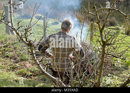 Un homme d'allumer un feu dans le jardin de l'ordre et la gravure ancienne bois et branches en préparation pour le printemps en février au Pays de Galles UK KATHY DEWITT Banque D'Images