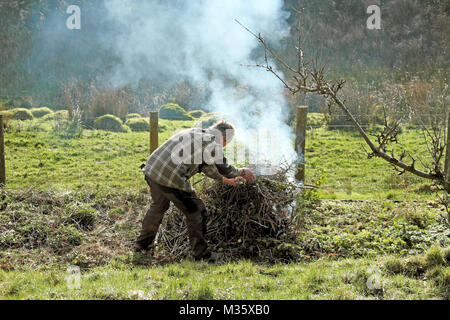 Un homme qui éclaire un feu de joie dans le jardin vers le haut et la combustion de vieux bâtons et branches déchets de jardin dedans Hiver février pays de Galles Royaume-Uni KATHY DEWITT Banque D'Images