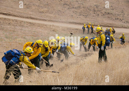 Les soldats de la Garde nationale de Californie du 578e bataillon du génie de la Brigade et le 1er Bataillon, 18e de cavalerie, d'infanterie 79e Brigade Combat Team, la pratique des techniques de l'équipage main feux avec des instructeurs de la Californie Département des forêts et la protection contre les incendies (CAL) Feu de camp Roberts, Californie, le 4 août 2015. C'était la dernière phase d'un événement de formation de trois jours de préparer les soldats à participer à des efforts de lutte contre l'incendie en Californie du nord. (Photo de Garde Nationale d'armée/spc. Rakiec Sigmund W./Release) de la Garde nationale de Californie 140 Banque D'Images