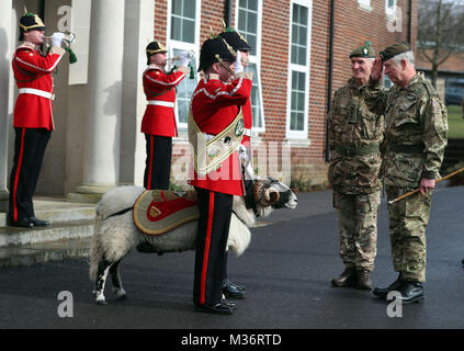 Le Prince de Galles (à droite) parle à la mémoire RAM, le caporal Major Philip Thornton (au centre) avec la mascotte du Régiment Mercie Derby privé XXXII, un Swaledale Ram, Ram, ordonnée et Lee Bradbury (centre arrière) au Camp Bulford à Salisbury au cours d'une visite au 1er Bataillon du Régiment de mercie pour marquer 10 années en tant que colonel en chef et 40 ans depuis qu'il est colonel en chef du régiment de Cheshire. Banque D'Images