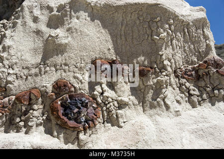 Sauvages et isolés dans le paysage désert Bisti Wilderness Area dans le Nord-Ouest du Nouveau Mexique près de East avec cheminées et étranges formations rocheuses Banque D'Images