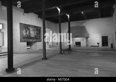 La grande salle basse de Château de Sully, vallée de la Loire, France Banque D'Images