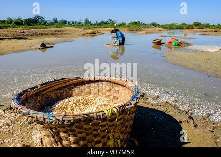 L'ail est lavé et traité à la périphérie de la ville, près de la rivière Irrawaddy Banque D'Images