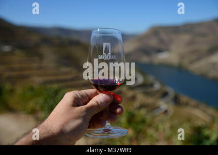 Personne tenant un verre de vin de Porto Sandeman en face de la vallée de Douro paysage à Quinta do Seixo, Portugal, Europe Banque D'Images