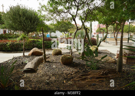 Praça Alexandre Albuquerque, Praia, île de Santiago, Cap-Vert Banque D'Images