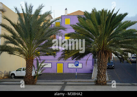 Deux palmiers sur la Praça Dom Joao II à Mindelo. Sao Vicente, Cap Vert Banque D'Images